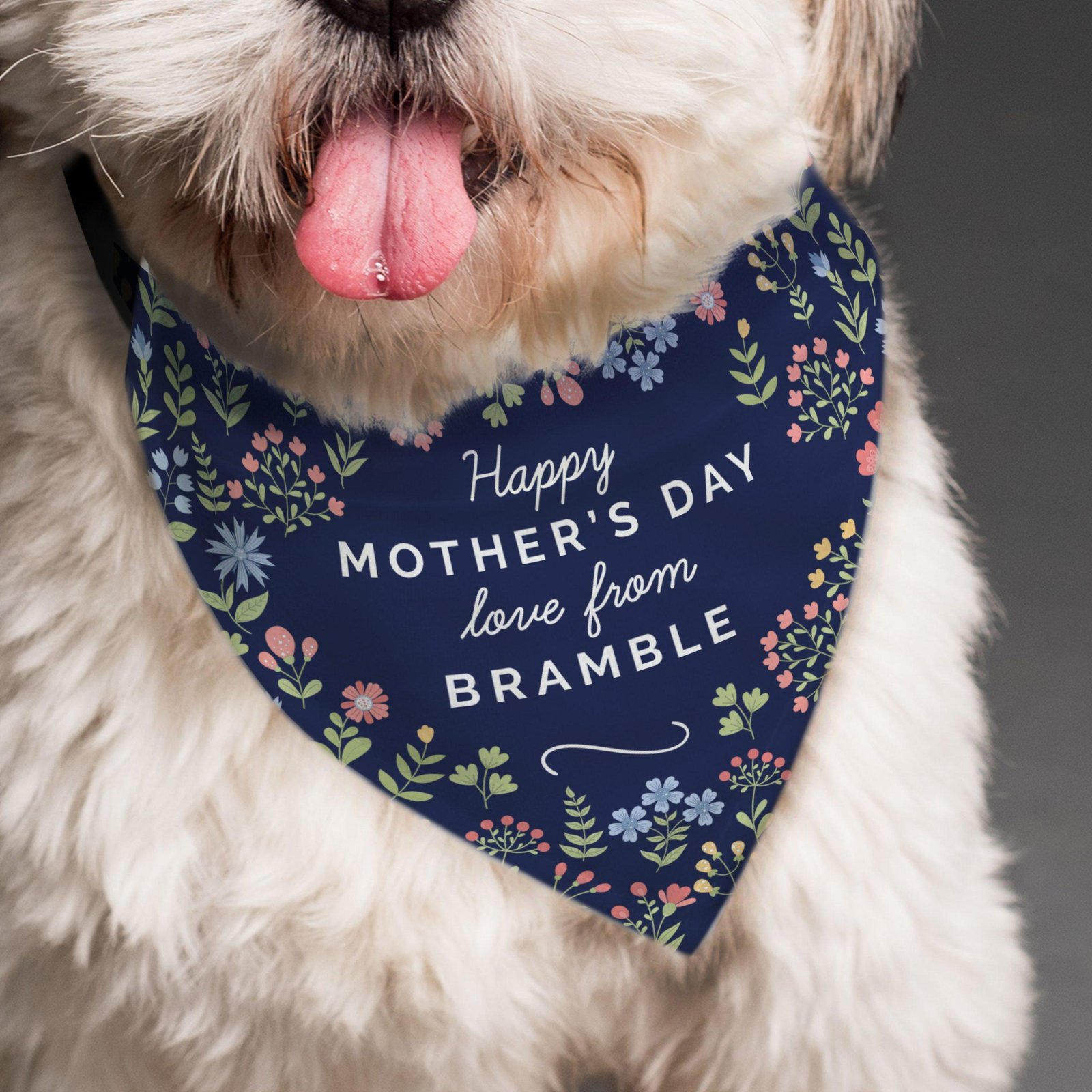 Personalised Happy Mothers Day Dog Bandana Mothers Day Gift Guide
