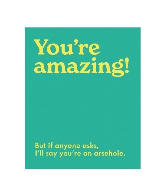 You're Amazing... but if Anyone Asks I'll Say You're an Arsehole Greeting Card Blank