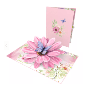 Pop Up 3D Blank Card - Pink African Daisy