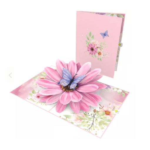 Pop Up 3D Blank Card - Pink African Daisy