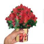 Pop Up 3D Christmas Card Poinsettia Bouquet