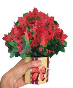 Pop Up 3D Christmas Card Poinsettia Bouquet
