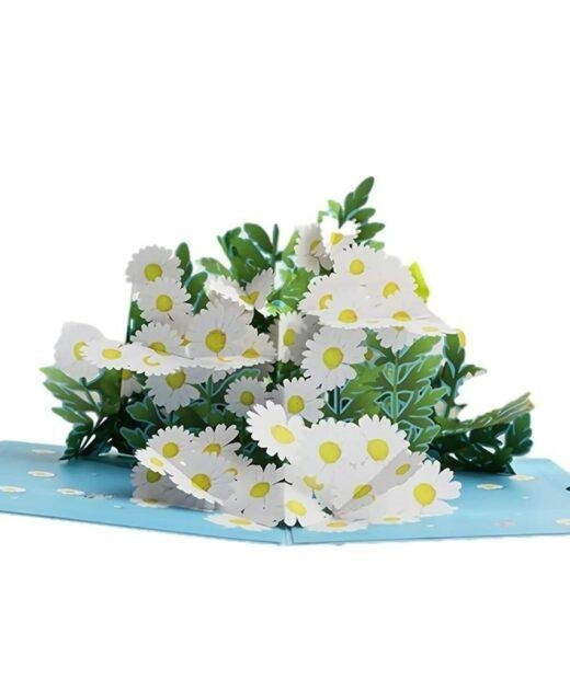 Pop Up 3D Daisy Flowers Blank Greeting Card