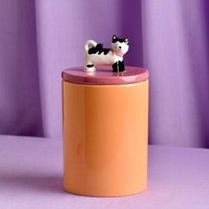 Orange Ceramic Cat Treat Jar
