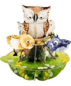 Pop Up 3D Owl Greeting Card