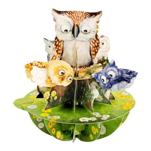 Pop Up 3D Owl Greeting Card