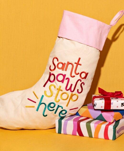 Santa Paws Stop Here Festive Pet Stocking